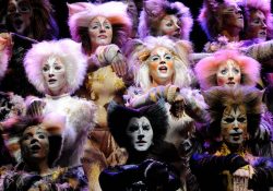 cats musical